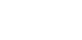 Motor Overhauls