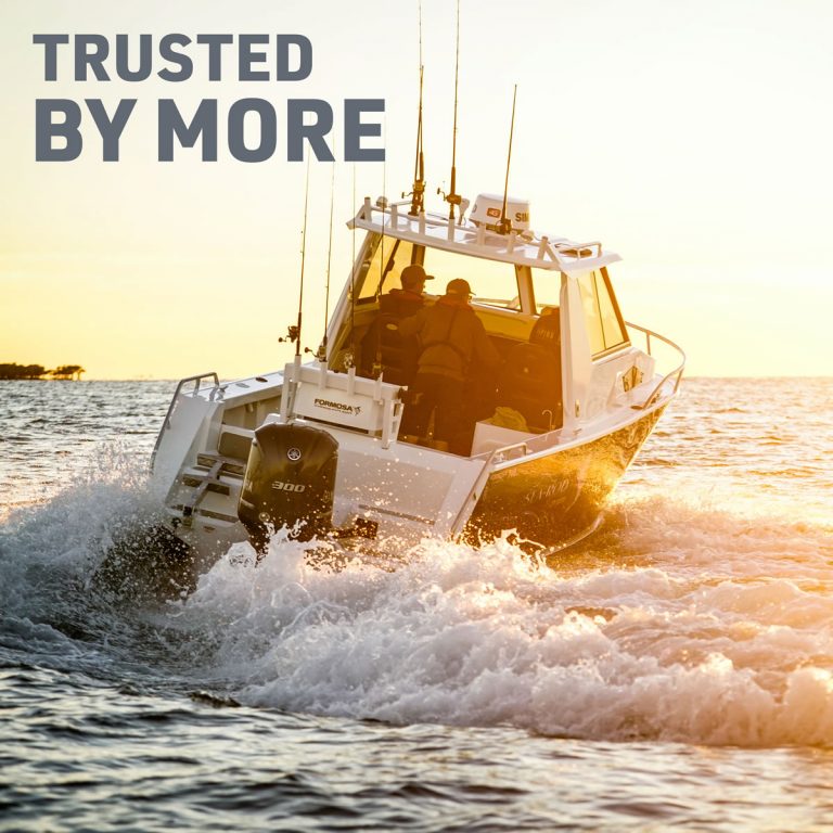Trusted by More
